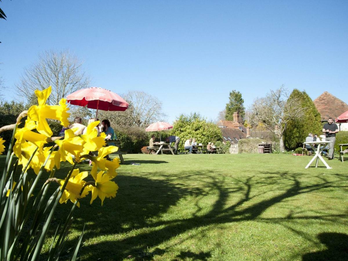 The Swan Inn Fittleworth Exterior photo